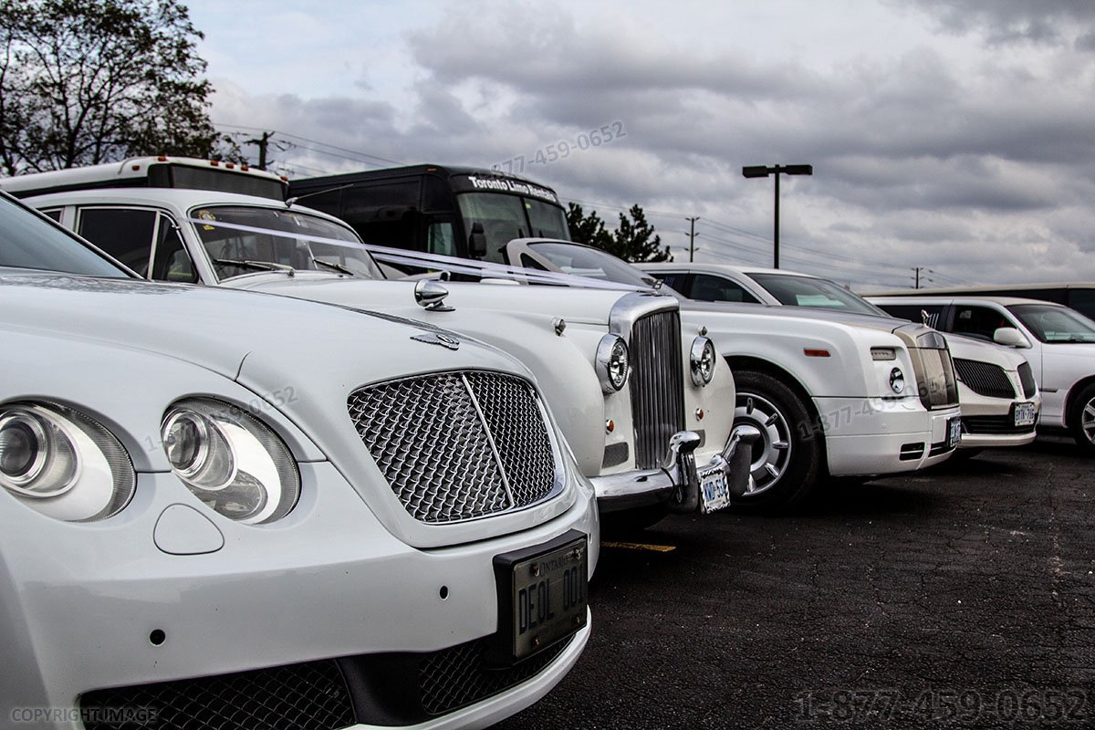 mississauga limo