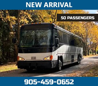 Mississauga Party Bus