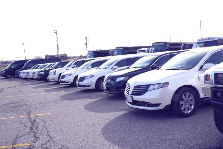 Mississauga Limo